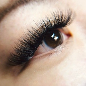 Up to 29% Off on Eyelash Extensions at Lashes by NicoleC