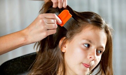 $11 for Head Lice Check at The Lice Lounge ($20 Value)