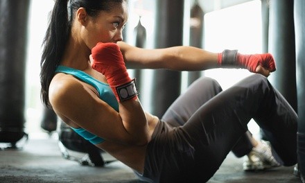 5 or 10 Boot-Camp Classes at Tom Bloom Martial Arts (Up to 54% Off)