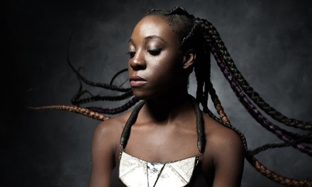 Up to 60% Off on Salon - Hair Braiding at The Hair Vault