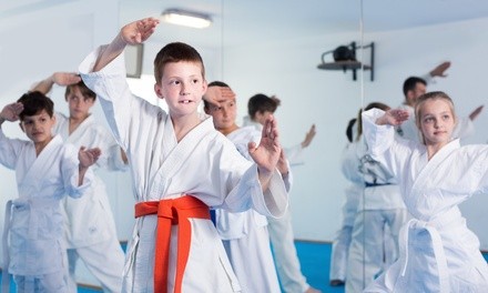 $49 for One-Month Membership and Uniform for One at Iron Lion Karate ($145 Value)