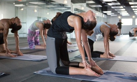 Seven Yoga Classes at Yoga Rocks Dallas (Up to 78% Off). Two Options Available.