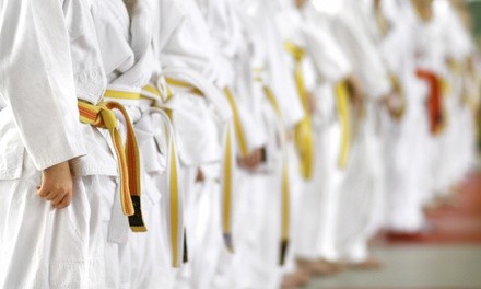 One or Two Months of Karate Classes, Including Uniform and Registration at Top Kick Karate (Up to 67% Off)