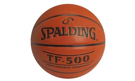 Spalding TF-500 29.5