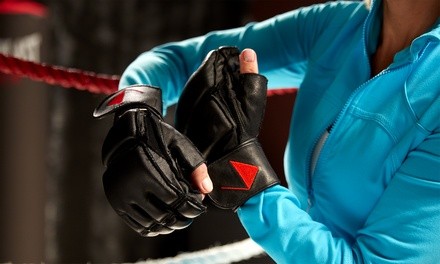 Four or Eight Private Kickboxing Lessons at Devon Williams Personal Training (Up to 85% Off)