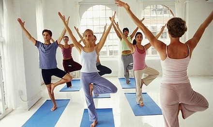 Unlimited Monthly Yoga or Five-Class Pass at Stretching for Life (Up to 51% Off)