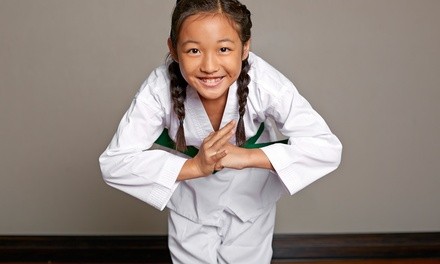 2 Weeks of In-Person or Online Classes at Master Choi’s Taekwondo Academy (Up to 77% Off). 2 Options Available.