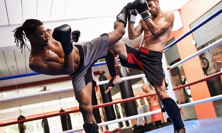 Up to 68% Off on Boxing / Kickboxing - Recreational at 9 Round 30 Min Kickboxing Fitness (new Owner)