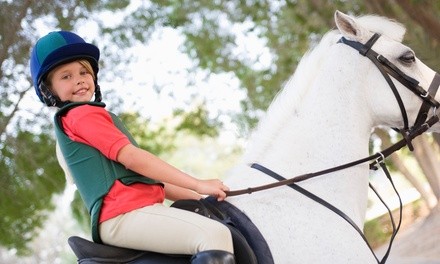 Up to 35% Off on Horse Back Riding - Training at Countyline Equestrian Center