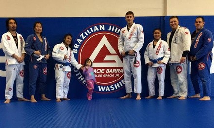 $19 Off $120 Worth of Martial Arts / Karate / MMA