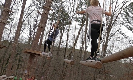 $34.99 for Five-Course Treetop Challenge Package for One at Carolina Treetop Challenge ($45 Value)