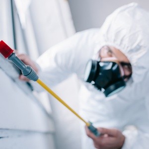 Up to 25% Off on Pest Control Service - General at Smyrna Pest Control