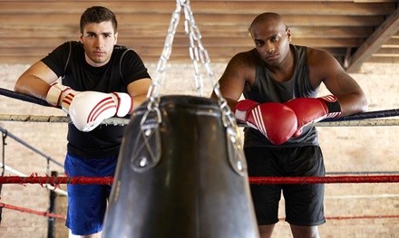 $10 for $40 Worth of Boxing Lessons — Walker's Championship Karate & Kickboxing