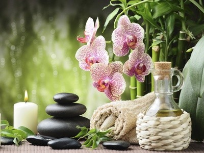 $88 for $175 Worth of Feng Shui Consulting — Healing for the Home with Feng Shui