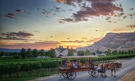Horse-Drawn Sunset Tour for One from JR's Carriage Service (Up to 36% Off)