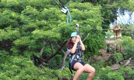 Two-Hour Afternoon Zipline Tour for One at Coral Crater Adventure Park