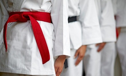 One or Three Months of Unlimited Martial Arts for One or Two People at All Island Martial Arts (Up to 47% Off)