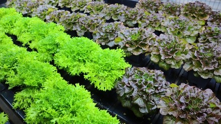 Up to 34% Off on Gardening / Farming / Beekeeping Education at Happy Trees Agricultural Supply