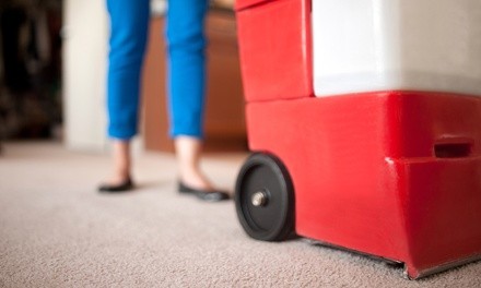 Up to 45% Off on Carpet Cleaning at Sila Corp.