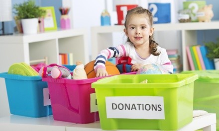One Hour of Home Organization Services from StressFree Organizing, LLC (44% Off)