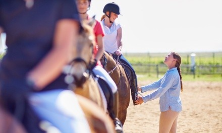 One or Four Horseback Riding Lessons at Times Square Riding Academy (Up to 38% Off)