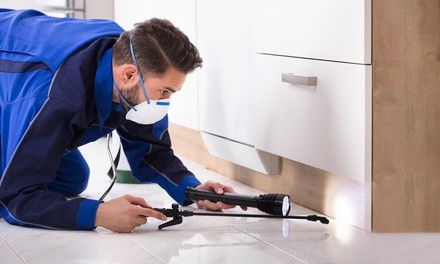 $599 for Termite Treatment from Magic Touch Exterminating Company ($1,000 Value)