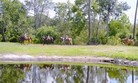 One-Hour Private Trail Ride for Two or Four at Equestrian Quest Stables (Up to 48% Off) 