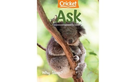 Ask Magazine Subscription for One Year (Up to 26% Off)