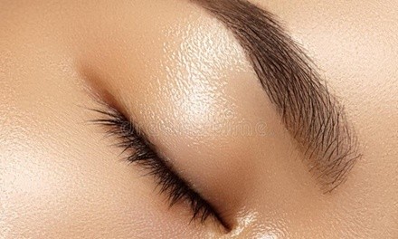 One Eyebrow Wax with Optional Tinting or Upper Lip Wax at Lavish Beauty Bar (Up to 49% Off)