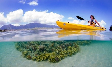 Book Now: Four or Eight Hour Kayak Rental at Kama'aina Kayak and Snorkel Eco-Ventures (Up to 35% Off)