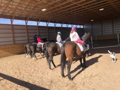 Up to 40% Off on Horse Back Riding - Training at ANM Equestrian & Sporthorses, LLC