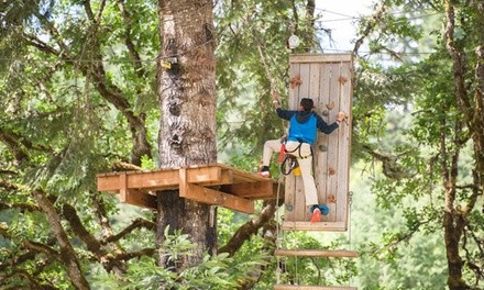 $69 for Super2021 Kick Off Adventure Package at Tree to Tree Adventure Park ($115 Value)