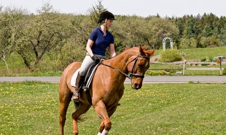 One or Four Introduction to Horseback Riding Lessons at Hobby Horse Farms (Up to 35% Off)