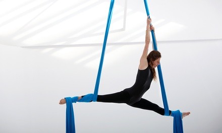 $10 for Introductory Aerial Fitness Class at CirqueIndy ($20 Value)