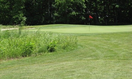 18-Hole Round of Golf for Two or Four Including Cart Rental at Pierce Lake Golf Course (Up to 40% Off)
