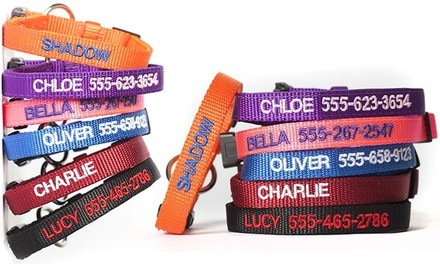 One, Two, Three, or Five Personalized Cat Collars from Qualtry (Up to 48% Off) - Shipping Included