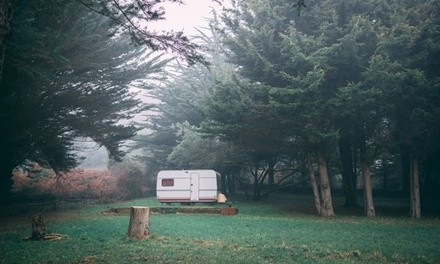 Carolinas Cannabis Convention on April 16 and 17