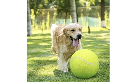 Waloo Pets Giant Tennis Ball for Pets (Pump Included!)