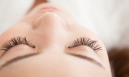 Lash Lift with Optional Tint at Ellehomme Holistic Med Spa (Up to 35% Off)