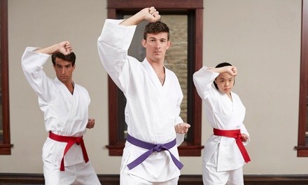 4-Week Introductory Program for One or One Month of Family Classes at Morris Martial Arts (Up to 50% Off)