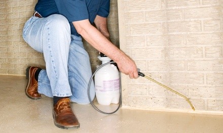 Pest Control from Horizons Professional Pest Control (Up to 77% Off). Four Options Available.