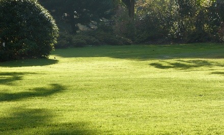 Lawn Aeration from Green Team Denver (Up to 40% Off)