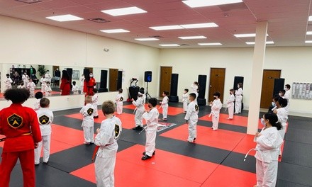 Five Classes of Martial Arts Training or Martial Arts Birthday Party at Top Leaders Martial Arts (Up to 80% Off)