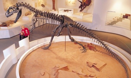 Museum Admission for Up to Six at Panhandle-Plains Historical Museum (Up to 41% Off). Three Options Available.