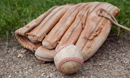 One or Six Half-Hour Private Baseball Lessons for One at Long Island Baseball Academy (Up to 33% Off)