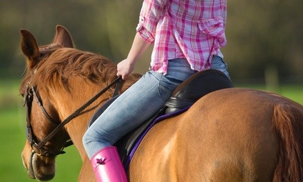 Horseback-Riding Lessons at Saddle Up Farms (Up to 25% Off). Four Options Available.