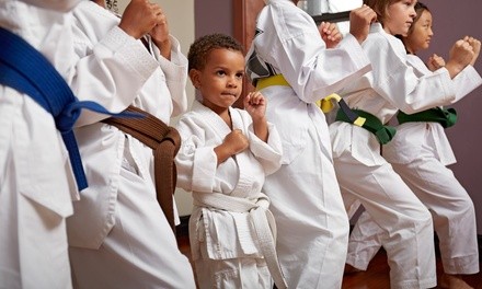 One Month of Unlimited Classes and Uniform for Child or Adult at Asheville Sun Soo Martial Arts (Up to 81% Off)