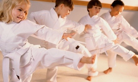 $12.80 for Twelve Martial Arts Classes with Uniform at Oriental Martial Arts College (Up to $350 Value)