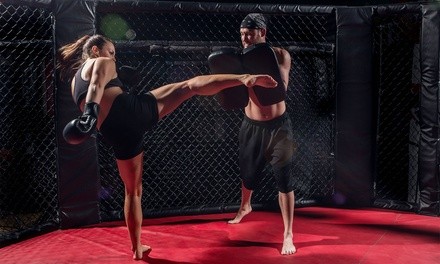 Self-Defense Lessons for One or Two at School of Self Defense (Up to 54% Off). Four Options Available.