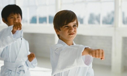 $20 for One Month of Unlimited Martial Arts Classes with T-Shirt at National Martial Arts ($140 Value)